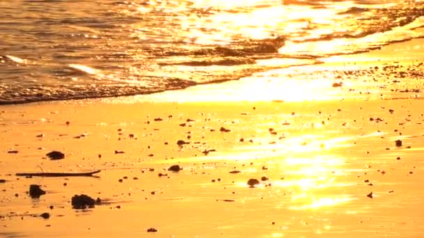 Close Arany Napsugár Tükrözi Glassy Óceán Hullámai Drámai Naplementekor Hullámzó — Stock videók