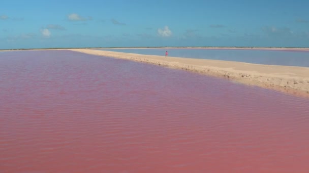 Antenn Nära Upp Flyger Över Kvinnan Gick Mexikansk Sandstrand Längs — Stockvideo