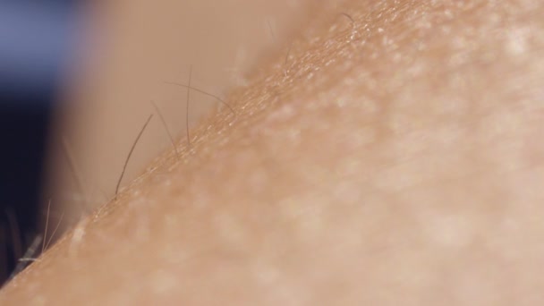 Close Macro Depth Field Detail Skin Hair Female Arm Светлые — стоковое видео