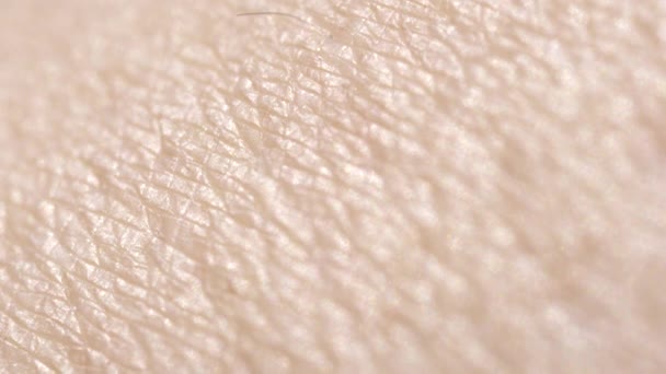特写宏观 Dof 干燥的高加索皮肤的细节 剃光女人的腿 皮肤脱毛后干燥 无毛皮肤图案 — 图库视频影像