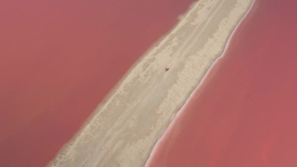 若い女性の上を飛んで空中は見事なピンク湖に沿ってメキシコの海岸を砂浜の上を歩いて海の水で満たされました 日当たりの良いメキシコでオレンジと赤の色合いの燦びやかなラスベガス Coloradas の豪華な塩プール — ストック動画
