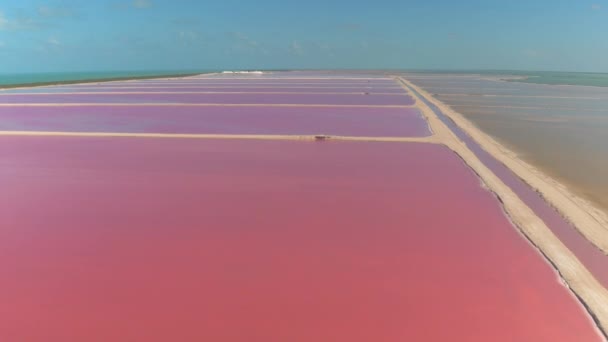 ラスベガス Coloradas のゴージャスなピンク色の湖の上を飛んでください 壮大な景色のメキシコ湾岸に広がる赤 オレンジおよび紫色鮮やかな色の塩池 — ストック動画
