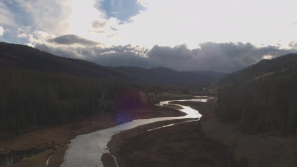 飞越美丽的河谷与松树下雄伟的落基山脉在怀俄明州 在美丽的乡村 冰冷的小河蜿蜒曲折的山谷 — 图库视频影像