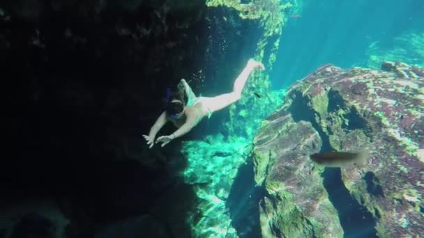 Unterwasser Zeitlupe Junge Frau Bikini Beim Freediving Einem Wunderschönen Kristallklaren — Stockvideo