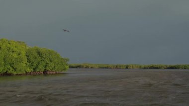 Yöre güneşli Meksika'daki Yucatan Rio Lagartos lagün genelinde yelken balıkçı tekneleri içinde. Altın güneş doğarken yemyeşil mangrov bataklık çalışan güzel çamurlu Nehri'nde balık yakalamak balıkçılar