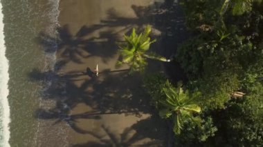 Hava aşağı üst: kumlu plaj boyunca yürüyüş ve sörf tahtası taşıyan tanınmaz surfboarder uçan. İnternet holding boardshorts genç adam. Yemyeşil yeşil palmiye ağaçlarının güzel volkanik deniz kıyısı