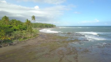 Anteni: fırtınalı gün'den sonra yağmur muhteşem Bali kıyı şeridi üzerinde uçan. Güzel sahil kapsayan yoğun palmiye ağacı yağmur ormanları. Kayalık mercan kum plajındaki karşı sıçramasına beyaz köpüklü okyanus dalgaları