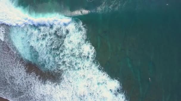 Aerial Top Surfers Sitting Surfboards Floating Sea Water Surface Waiting — Stock Video