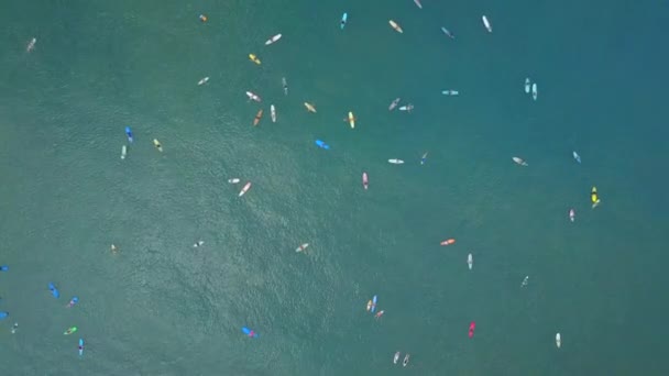 Aerial Top Surfistas Principiantes Aprendiendo Surfear Con Grandes Tablas Surf — Vídeos de Stock