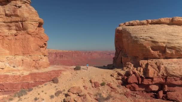航空写真 若い女性はアメリカ合衆国ユタの谷の神視点にメサの山の斜面をハイキングします 岩だらけの砂漠の風景を探検 晴れた日にトップの 険しい山々 に達する女性旅行者 — ストック動画