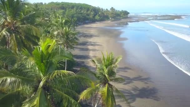 Luchtfoto Close Vliegen Boven Traditionele Balinese Vissersboten Genoemd Jukung Opgesteld — Stockvideo