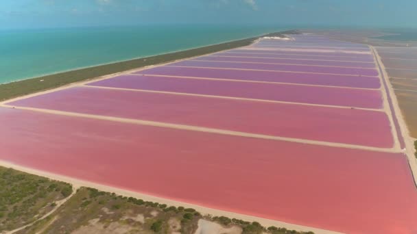 Aerial Zburând Deasupra Golfului Mexic Lungul Țărmului Pitoresc Vedere Iazurile — Videoclip de stoc