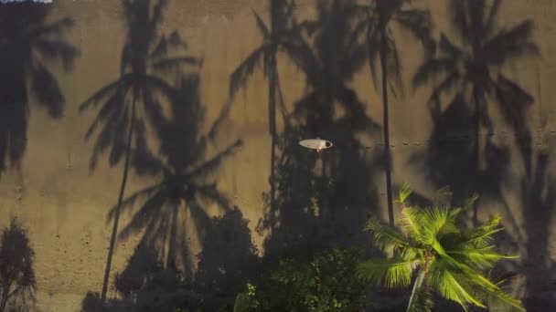 Arriba Aerial Volando Por Encima Surfboarder Irreconocible Con Tabla Surf — Vídeo de stock