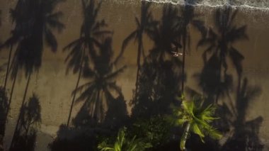 Hava aşağı üst: kumlu plaj boyunca yürüyüş ve sörf tahtası taşıyan tanınmaz surfboarder uçan. İnternet holding boardshorts genç adam. Yemyeşil yeşil palmiye ağaçlarının güzel volkanik deniz kıyısı