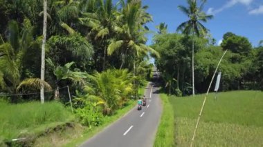 Hava: yerel Ubud Town Bali Adası, Endonezya yemyeşil yeşil pirinç paddies aracılığıyla motosiklet sürme iki turist. Doğa keşfetmek yemyeşil Bali kırsal yoluyla scooter sürme kadın ve genç adam
