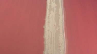 Genç erkek uçan hava pembe göl çarpıcı boyunca kumlu Meksika kıyısında yürüyüş deniz suyu ile dolu. Las Coloradas turuncu ve kırmızı tonlar güneşli Meksika'da şaşaalı muhteşem tuz göletler
