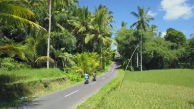 Hava: yerel Ubud Town Bali Adası, Endonezya yemyeşil yeşil pirinç paddies aracılığıyla motosiklet sürme iki turist. Doğa keşfetmek yemyeşil Bali kırsal yoluyla scooter sürme kadın ve genç adam