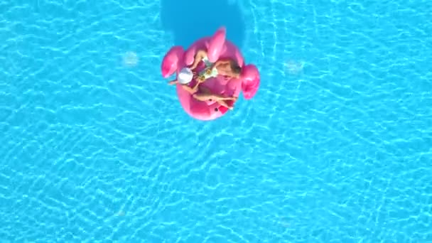 空中上を若いカップル乾杯やカクテルを飲みながら横になっている楽しいインフレータブル フラミンゴ フローティング ツールバーです 飲み物をすすりながら プールの水に浮いているピンク フラミンゴでリラックスの水着でセクシーなカップル — ストック動画