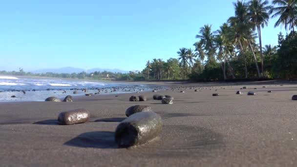 慢动作 自由度 在阳光明媚的巴厘岛 印度尼西亚的美丽的天堂岛上潮湿的波光粼粼的沙滩上的黑色火山岩 潮湿的石头在美丽的空的海滩在茂盛的椰子棕榈树之下 — 图库视频影像