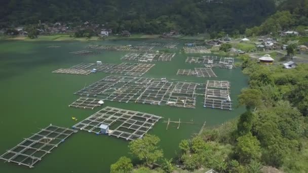 空中飞行在美丽的巴图尔湖上空 在传统的巴厘岛养鱼场上 到处都是方形的水下竹笼 印度尼西亚巴厘岛巴图尔湖畔的小渔村 亚洲鱼类养殖 — 图库视频影像