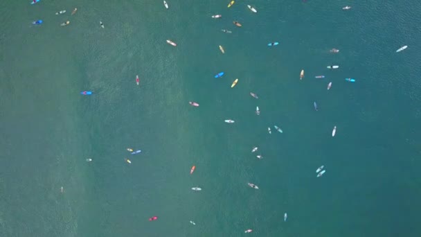 Aerial Top Начинающие Серферы Учатся Серфингу Помощью Больших Досок Серфинга — стоковое видео