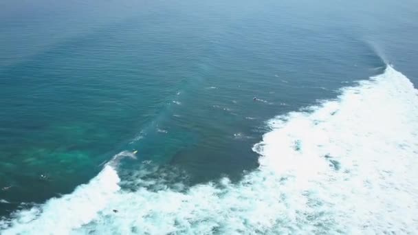 Aerial Iniciantes Surfistas Profissionais Esperando Fila Para Pegar Uma Onda — Vídeo de Stock