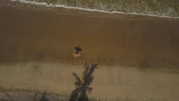 Luchtfoto Top Vliegen Boven Onherkenbaar Surfboarder Loopt Langs Prachtige Tropisch — Stockvideo