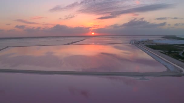 Antenne Flug Über Atemberaubende Salinen Die Sich Bei Rosa Sonnenuntergang — Stockvideo