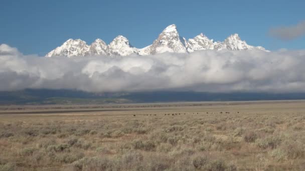 航空写真 壮大なグランド ティトンの山ピークの乾燥のジャクソン ホール バレー アメリカ合衆国 ワイオミング州の霧の雲の上を上げます 日当たりの良い草原の谷の霧上ピーク先のとがったのロッキー山脈 — ストック動画