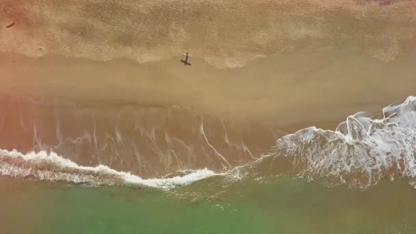空中自上而下的冲浪者无法辨认的冲浪者携带冲浪板在他的怀里 走在梦幻般的巴厘岛岛上美丽的沙滩上 男子手里拿着海浪在天堂的海滨散步 — 图库视频影像