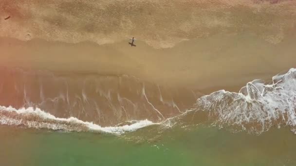 Top Aeriale Surfista Irriconoscibile Che Porta Tavola Surf Tra Braccia — Video Stock