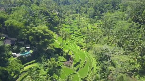 Aereo Volando Sopra Villa Lusso Con Piscina Sfioro Con Vista — Video Stock