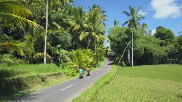 Aerial Dois Turistas Andando Moto Através Exuberantes Arrozais Verdes Cidade — Vídeo de Stock