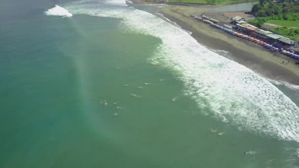 Aerial Surfistas Iniciantes Aprendem Surfar Pranchas Surf Longboards Ensolarado Surfspot — Vídeo de Stock