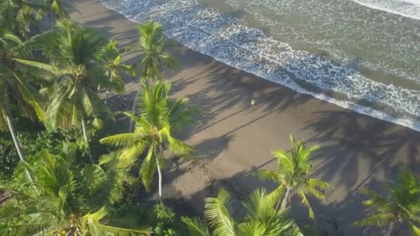 AÉRIAL : Femme méconnaissable en robe jaune marchant le long d'une plage de sable volcanique avec des palmiers verts luxuriants. Vagues océaniques mousseuses lavant le bord de mer humide vide. Fille en vacances d'été relaxantes à Bali ensoleillé 