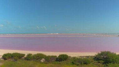 Hava: Las Coloradas, Yucatan çarpıcı pembe göller uçan. Meksika Körfezi manzaralı sahil uzanan muhteşem renkli tuz havzaları. Güzel salterns çevreleyen okyanus