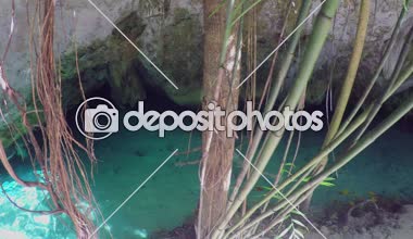 Enfes bir nehirde yüzen güzel genç bayanı kayalık geçitten geçir. Meksika, Yucatan 'daki Grand Cenote obruğunun duvarından sarkan antik kökler ve orman sarmaşıkları.