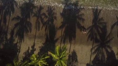 Hava aşağı üst: kumlu plaj boyunca yürüyüş ve sörf tahtası taşıyan tanınmaz surfboarder uçan. İnternet holding boardshorts genç adam. Yemyeşil yeşil palmiye ağaçlarının güzel volkanik deniz kıyısı