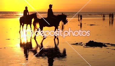 Ağır çekim: kontrast turistler güzel Binicilik büyülü Altın ışık günbatımında rüya gibi Kuta kumsalda atlar. Cennet keşfetmek insanların kalabalıklar etkin yaz tatillerini üzerinde Bali Adası