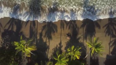 Hava aşağı üst: sörfçü holding surfboard muhteşem volkanik kumsal yemyeşil palmiyeler ile birlikte çalışan elinde. Deniz kıyısı üzerinde oturan ve güneşli Bali sıçramasına okyanus dalgaları seyretmekten genç adam