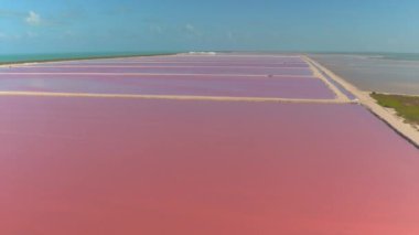 Hava: Las Coloradas nefes kesen pembe göller uçan. Muhteşem tuz göletler ufka uzanan. Meksika Körfezi, Yucatan, renkli tuz tava pitoresk toplayan