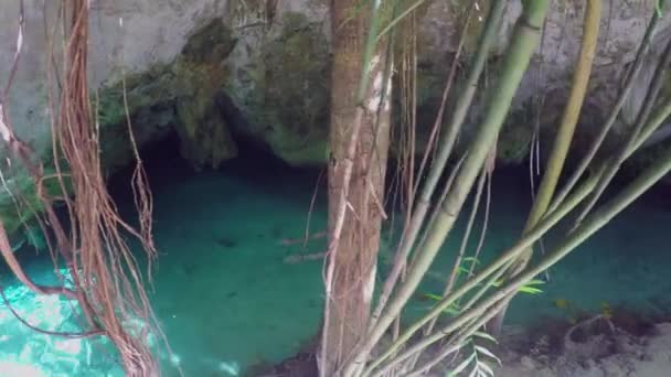 Fechar Bela Jovem Nadando Deslumbrante Rio Cristalino Através Passagem Rochosa — Vídeo de Stock