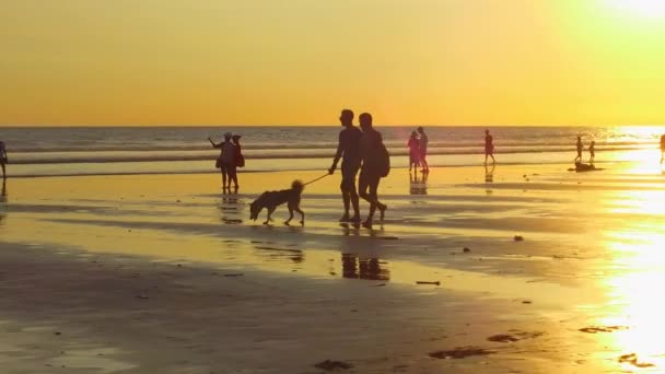 Kuta Bali Indonezja Maja 2017 Turystów Zwiedzania Zatłoczonej Plaży Kuta — Wideo stockowe