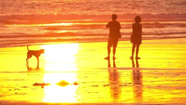 Slow Motion Close Silhouette Adult Couple Dog Relaxing Summer Vacations — Stock Video