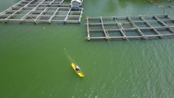 美しい上 空中を飛んでバトゥール湖広場の伝統的なバリの魚ファームの竹ケージが浸水しました 地元の漁師がボートに乗ってネットを引っ張るします 養魚場で作業する認識できない人 — ストック動画