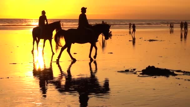 Αργή Κίνηση Silhouetted Τουρίστες Ιππασία Όμορφα Άλογα Στην Ονειρική Παραλία — Αρχείο Βίντεο