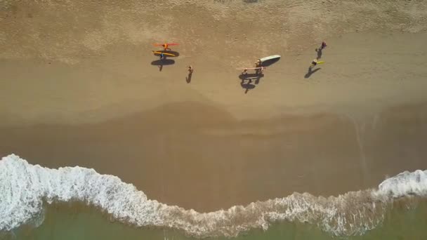 Aerial Top Lens Flare Surfistas Caminando Por Playa Con Surfistas — Vídeo de stock