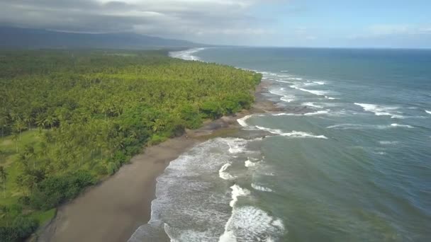 空中雨の前に嵐の日に豪華なバリ島の海岸線上空を飛んでいます 緻密なヤシの木熱帯雨林岸に遠くの山をカバーします 見事な砂浜を叩きつける白泡波 — ストック動画