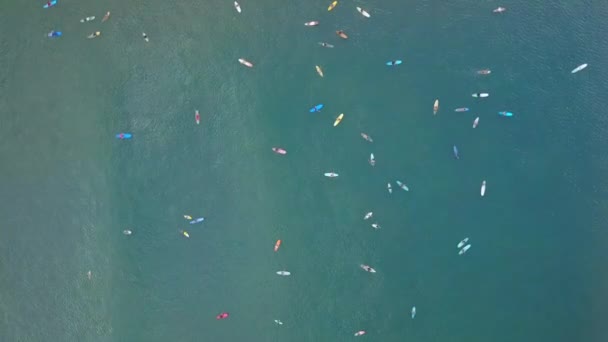 Top Aeriale Lens Flare Surfisti Principianti Imparano Surfare Con Grandi — Video Stock