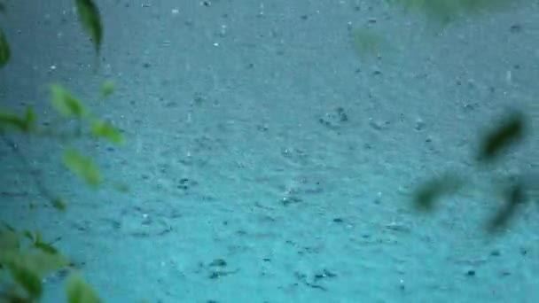Slow Motion Time Warp Дощ Падає Океан Створюючи Візерунок Круглих — стокове відео